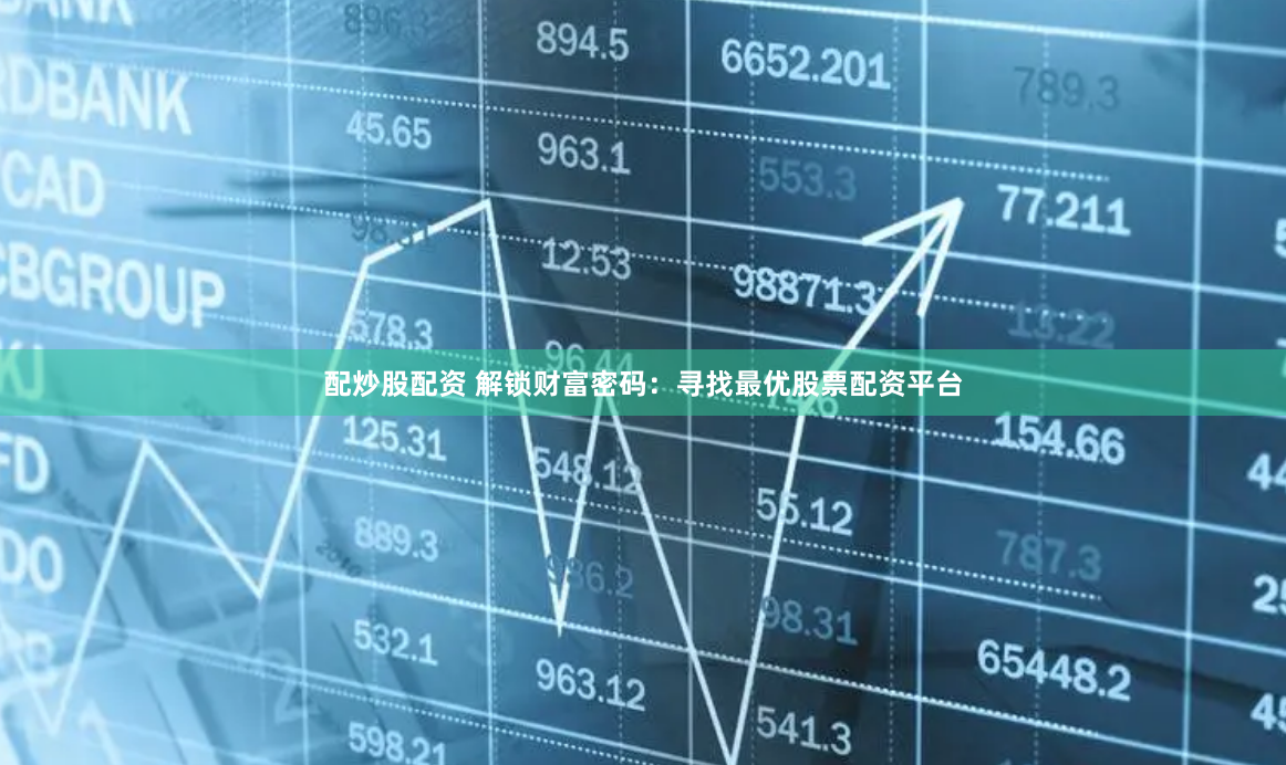 配炒股配资 解锁财富密码：寻找最优股票配资平台
