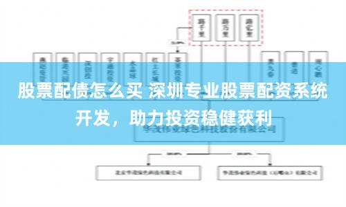 股票配债怎么买 深圳专业股票配资系统开发，助力投资稳健获利