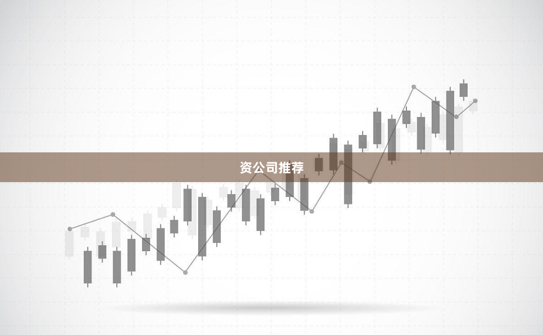 资公司推荐